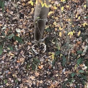 Meet your Posher, Colin